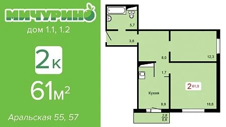 Видеообзор 2комн квартиры S 61. ЖК МИЧУРИНО дом 1.1 1.2