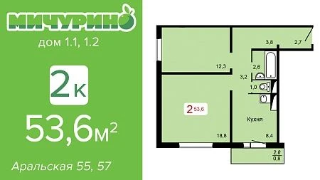 Видеообзор 2комн квартиры S 53,6. ЖК МИЧУРИНО дом 1.1 1.2